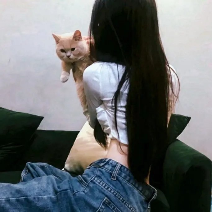 卡美洛